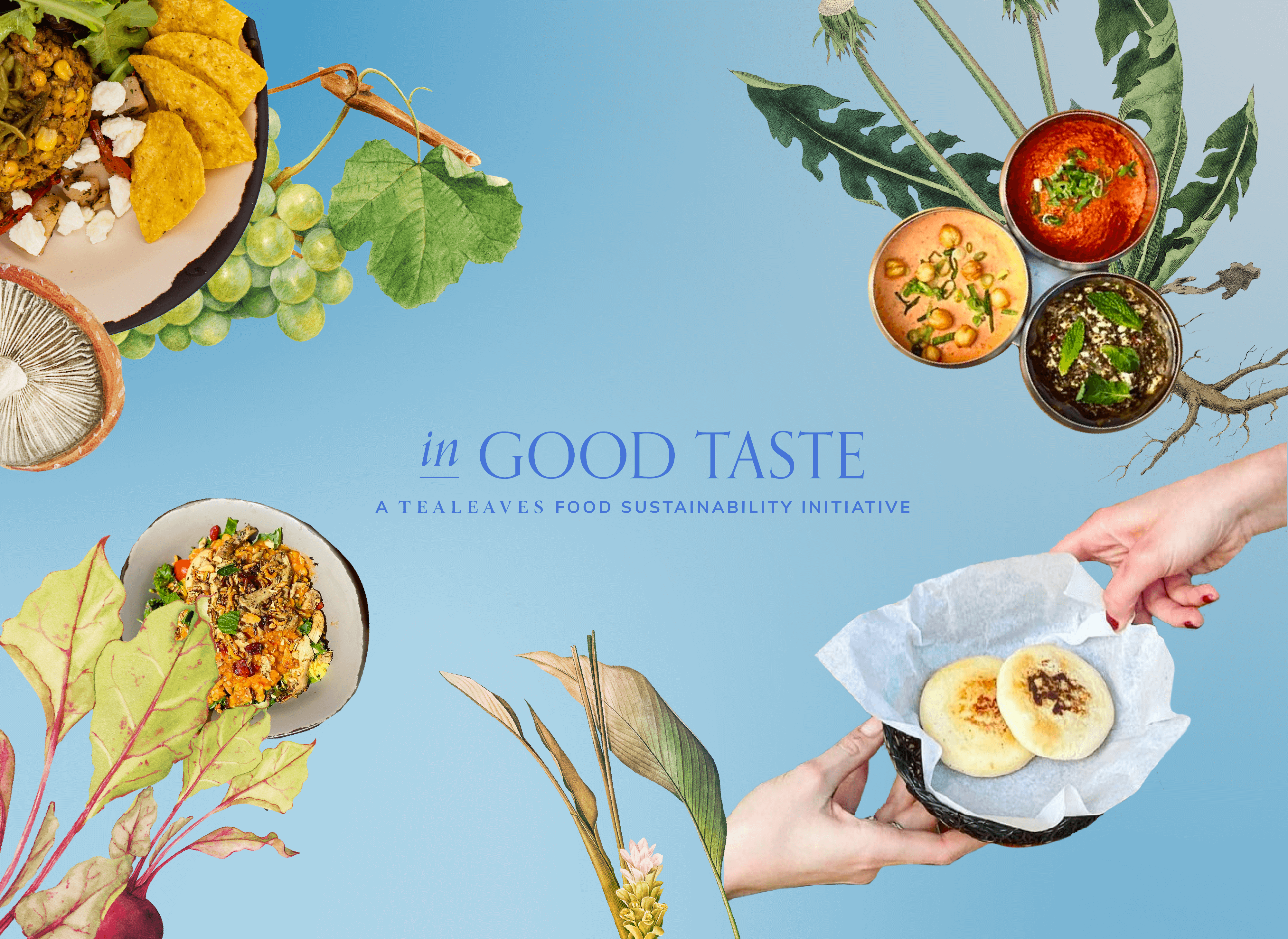 Urban Food and Sustainability